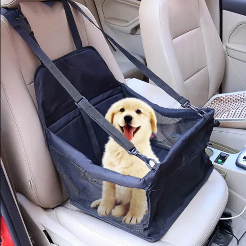 Asiento canino vehículo